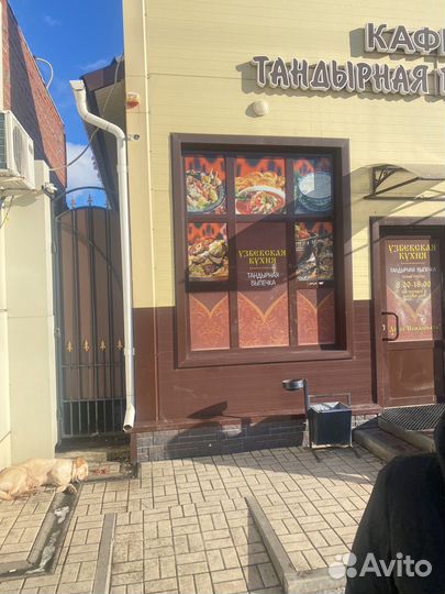 Домашняя собака помесь лабрадора