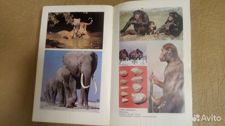 Биология и анатомия.Энциклопедия школьника