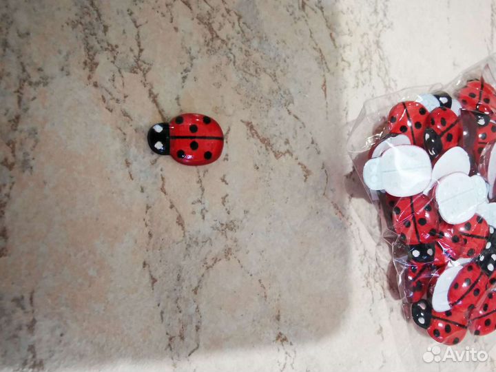 Божья коровка