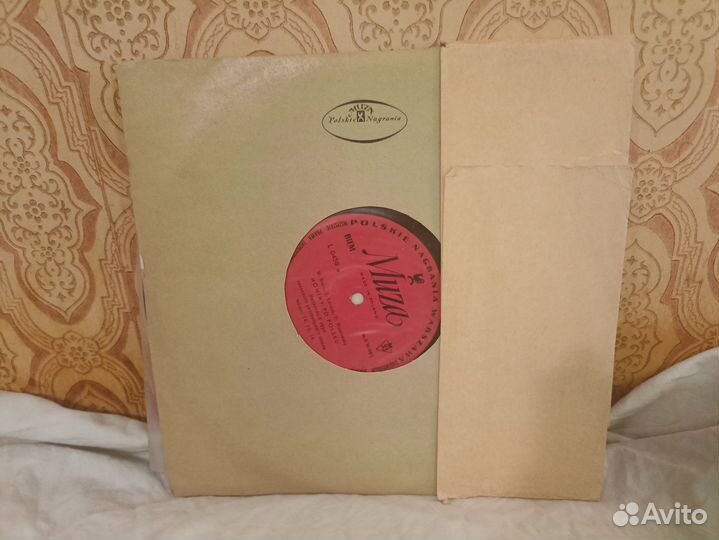 Виниловая пластинка: Уроки польского языка