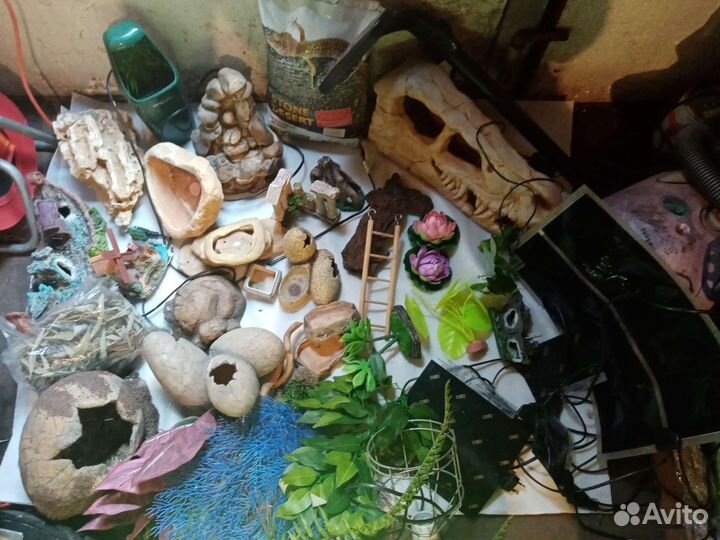 Террариум, фаунариум, акссесуары разные