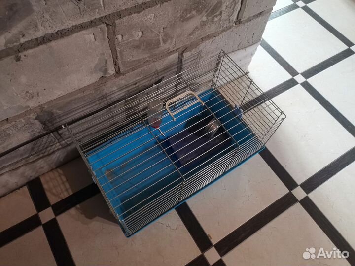 Клетка для кролика