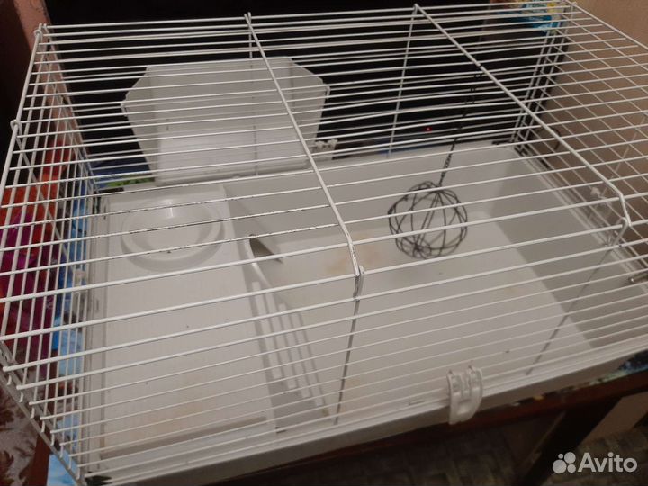 Клетка для морской свинки