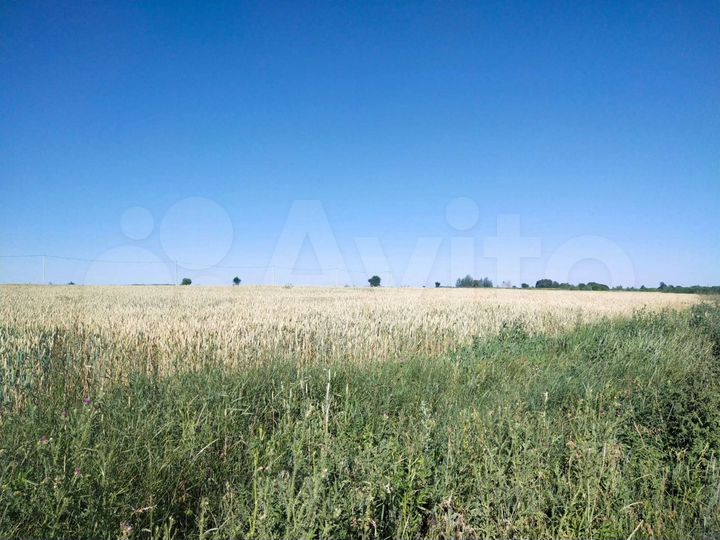 Участок 2,5 га (ИЖС)