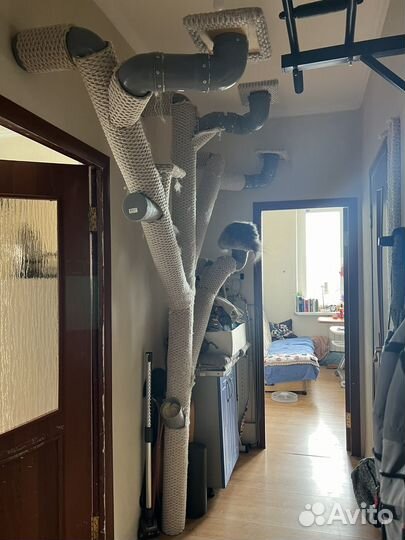 Дерево для кошки