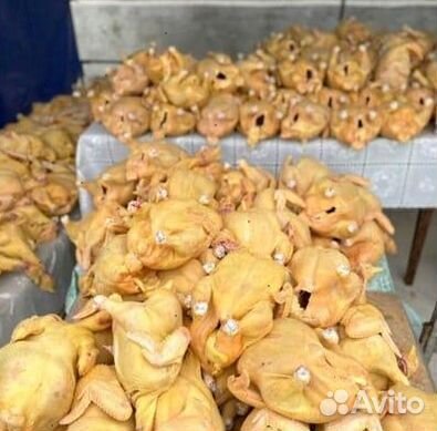 Куры халяль с доставкой оптом 10шт