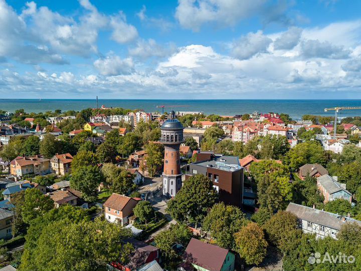 Светлогорск Топ-Экскурсия Из Светлогорска — на Кур