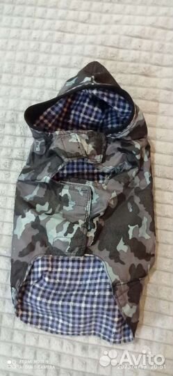 Продаю ветровку для собаки маленьких пород