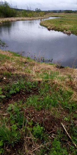 Участок 12 сот. (ИЖС)