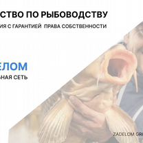 Агентство по рыбоводству в городе, Дублин