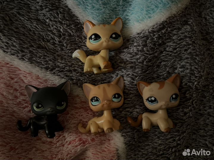 Littlest pet shop