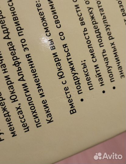 Тосинори Иваи. Сильный лидер Юкари