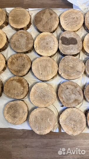 Дубовые спилы