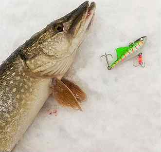 Вибы Shindin для зимней рыбалки