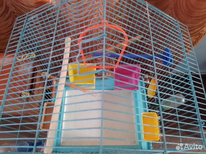 Клетка для попугая