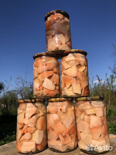 Гриб трутовик(Ивники)