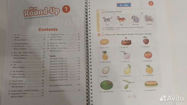 Пособие по английскому языку Round up 1
