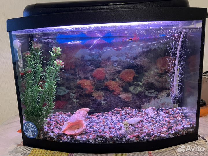 Аквариум 70 литров