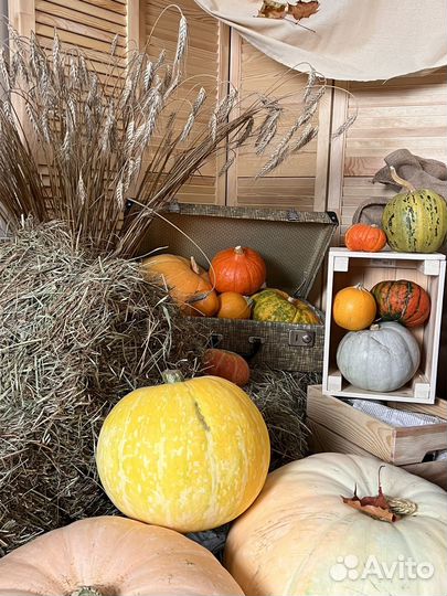 Осенняя фотозона