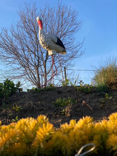 Комната 35 м² в 2-к., 1/2 эт.