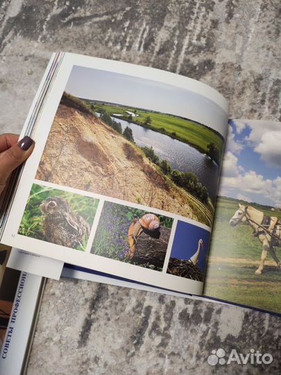 Книга фотоальбом Сейм, история реки