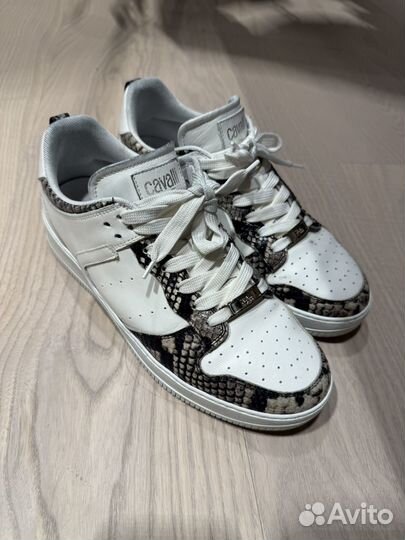 Just cavalli кеды