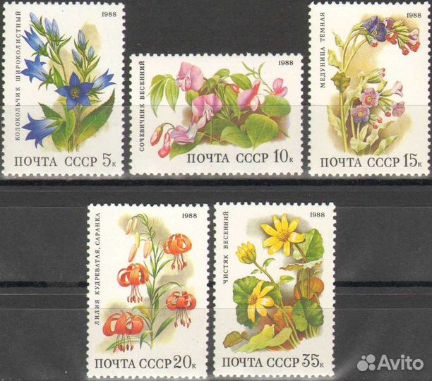 Флора на марках СССР