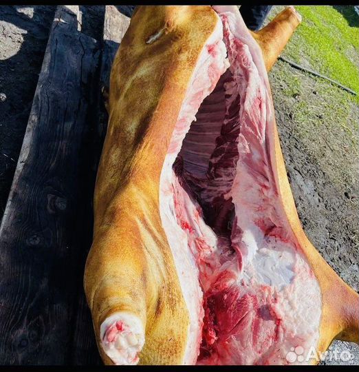 Свинина домашняя