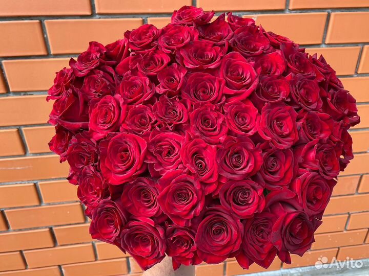 Букет из 51 розы, 101 роза. Доставка цветов