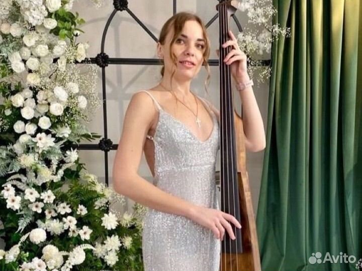 Музыкант на праздник свадьбу корпоратив