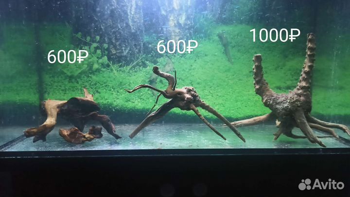 Коряги для аквариума