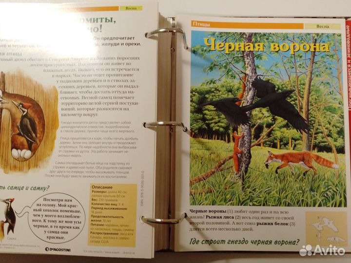 Deagostini Тайны леса