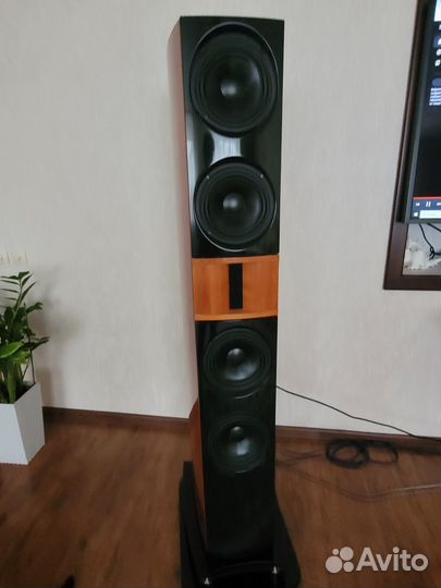 Акустика Backes & Muller 25 и пред B&M802