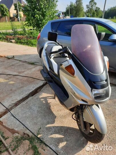 Yamaha majesti 250