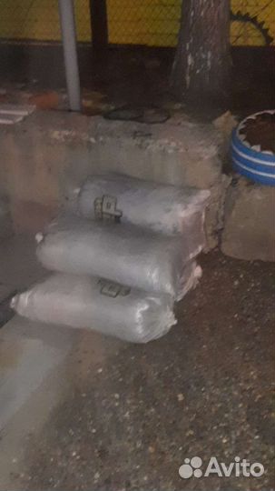 Перегной конского навоза