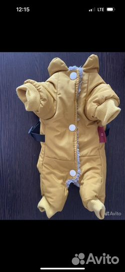 Костюм для собаки