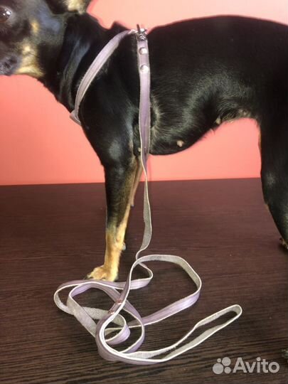 Поводок кожаный