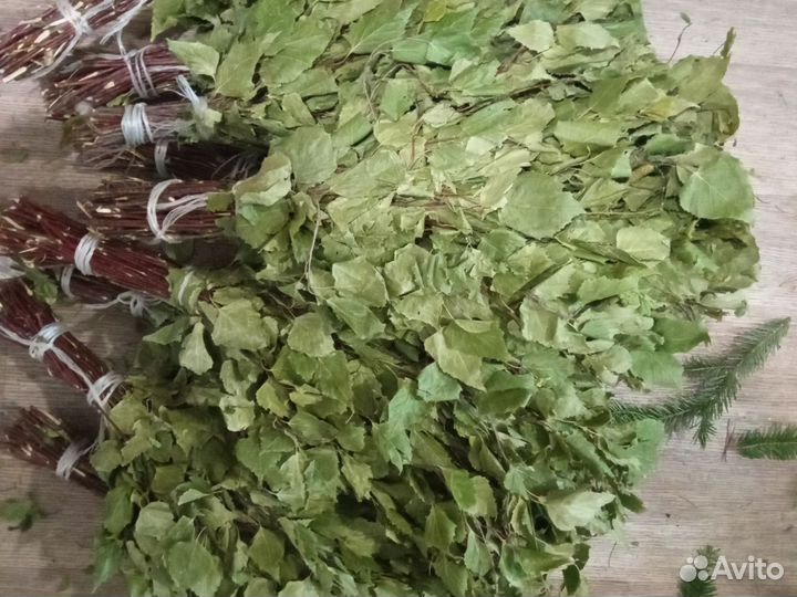 Банный веник: пихта и береза