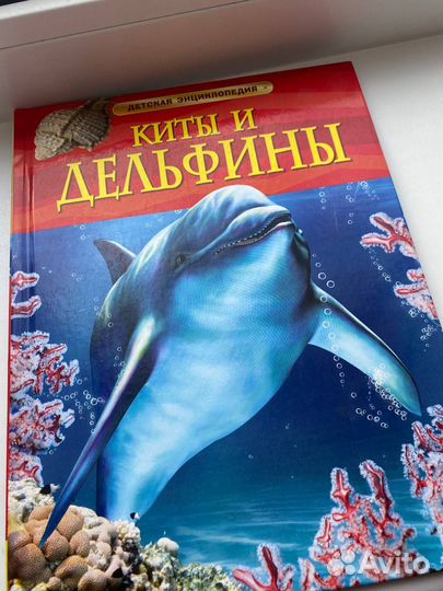 Киты и дельфины энциклопедия