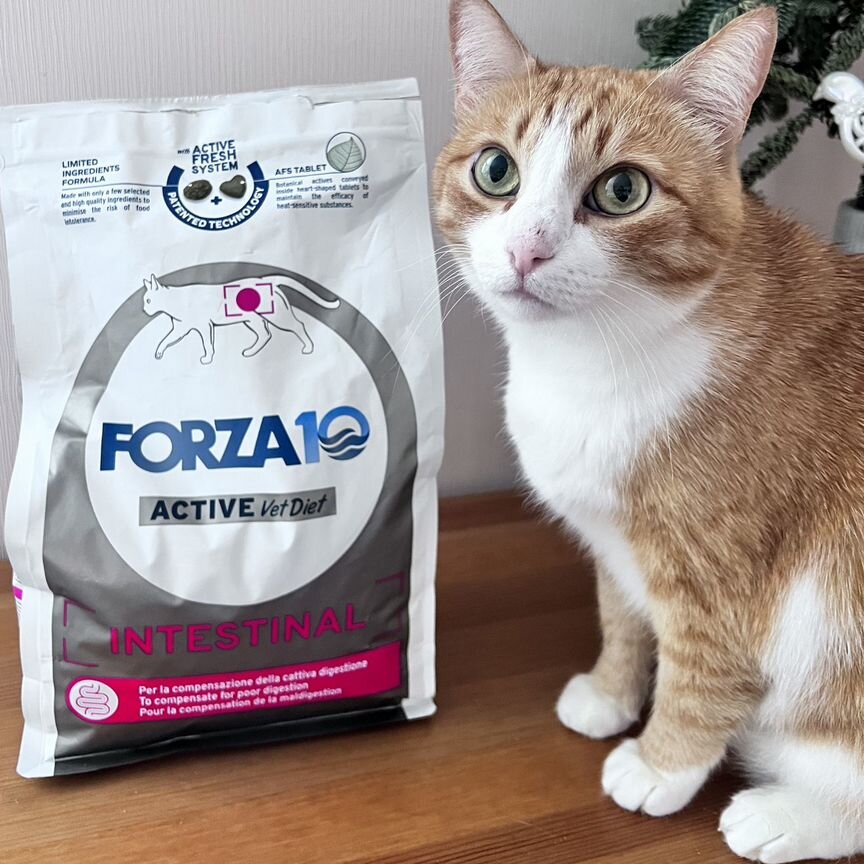 Корм для кошек Forza gastrointestinal