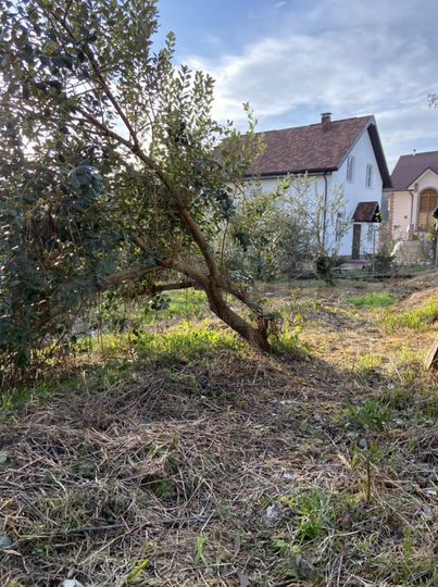 Участок 7,5 сот. (ИЖС)