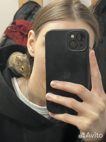 Белки дегу с витриной и клеткой