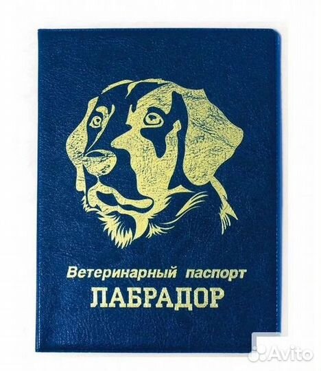 Ветеринарный паспорт обложка хаски корги