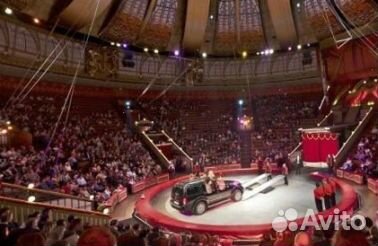 Билеты в цирк на проспекте Вернадского Все числа