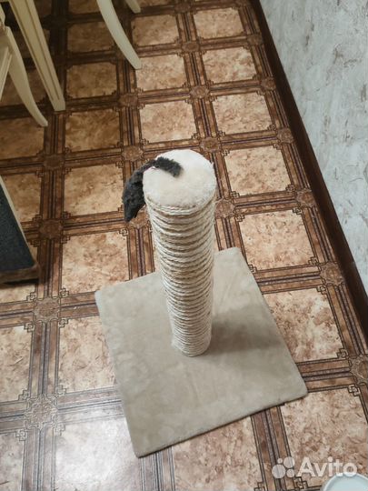 Когтеточка для кошек