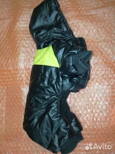 Одежда для собак