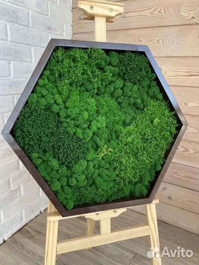 Соты из стабилизированного мха