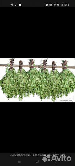 Продам веники берёзовые