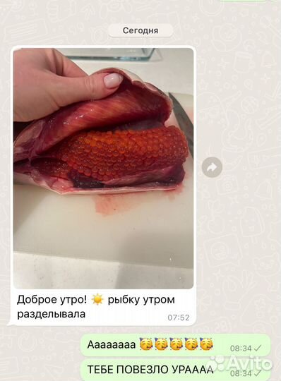 Горбуша 10 кг