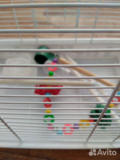Клетка для птиц
